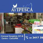 aviepesca300x250